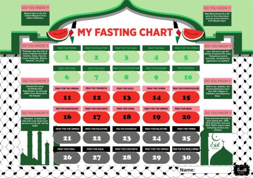 Palestine Fasting Charts (HK085)