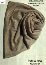 Pleated Shimmer Chiffon - HS012A 